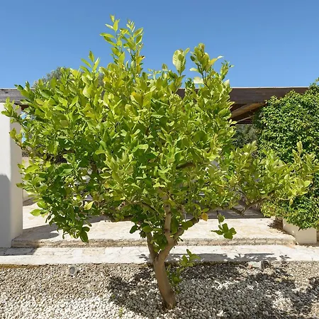 Mit Privatpool An Der Adriakueste Holiday home